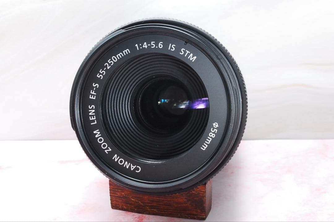 美品✨Canon EF-S 55-250mm IS STM 高性能望遠レンズ