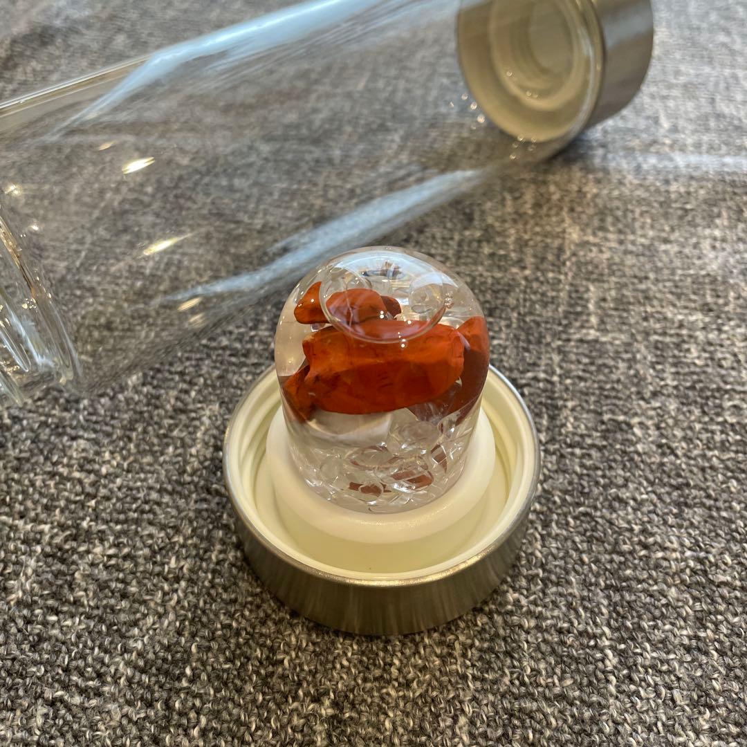 VitaJuwel ガラスボトル 500ml