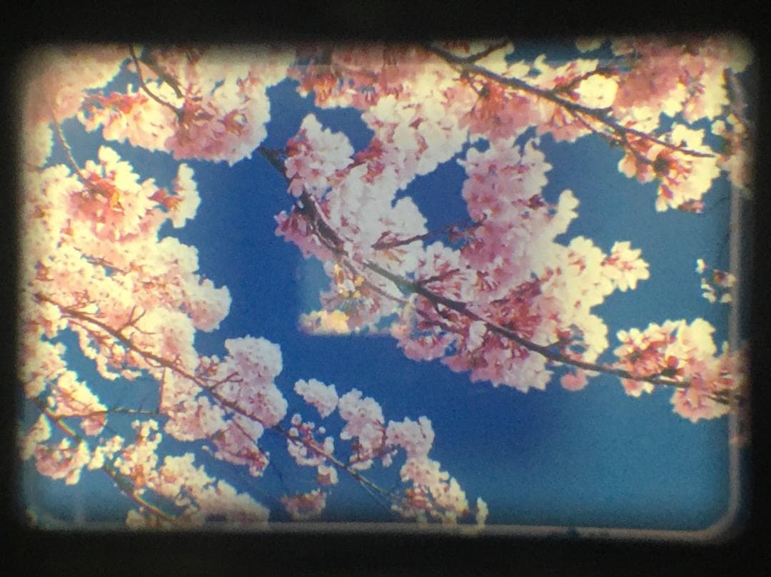 【整備済　美品】 KONICA III レンジ 48mm f/2 #1262