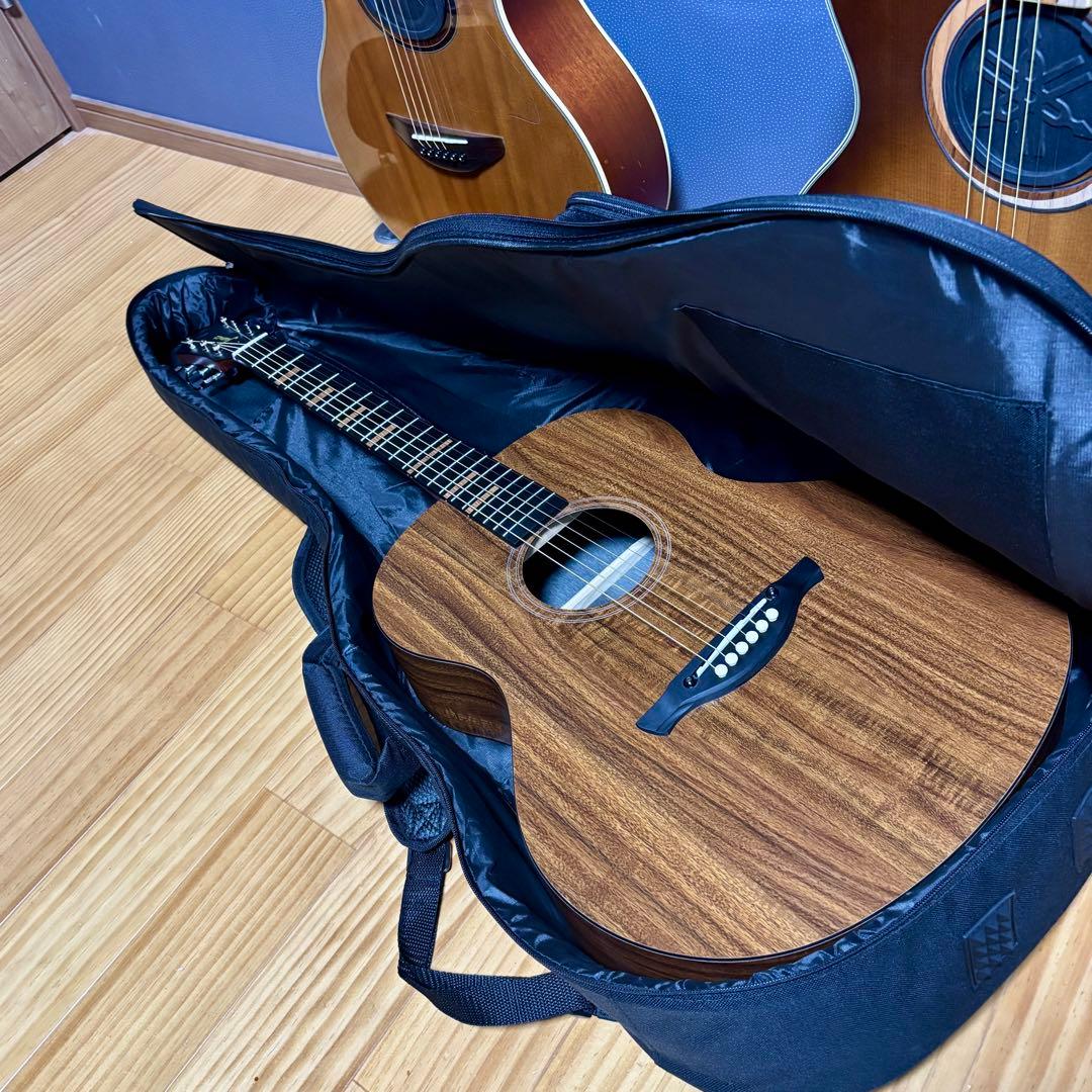 【美品】James トランスギターJ-100A MHT ギグケース付属