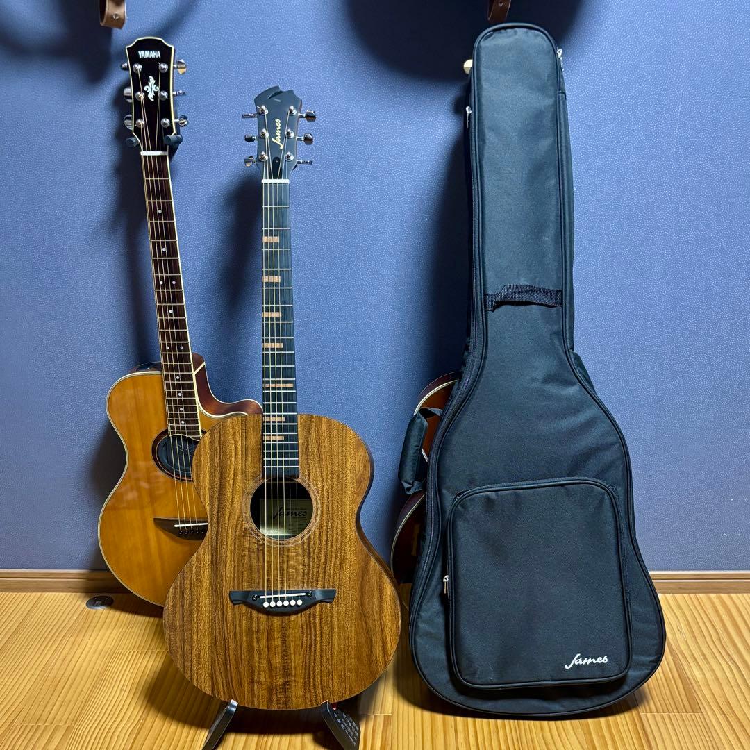 【美品】James トランスギターJ-100A MHT ギグケース付属