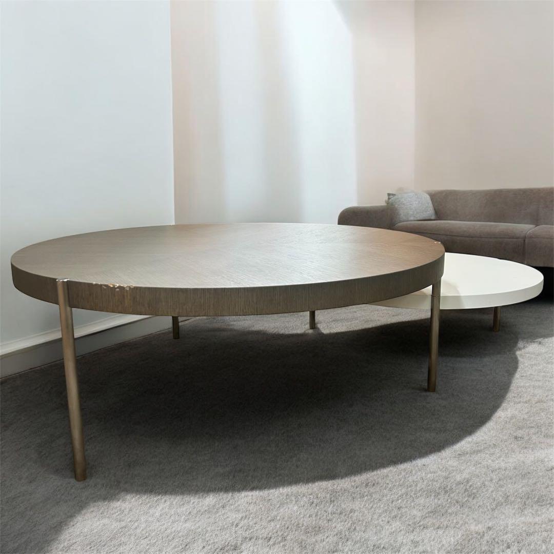 【希少】arflex アルフレックス LUNARI ルナーリ センターテーブル