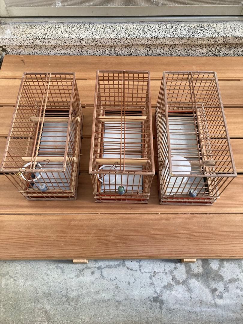 竹細工　めじろかご　鳥かご　 6個　木製寝かせ箱セット