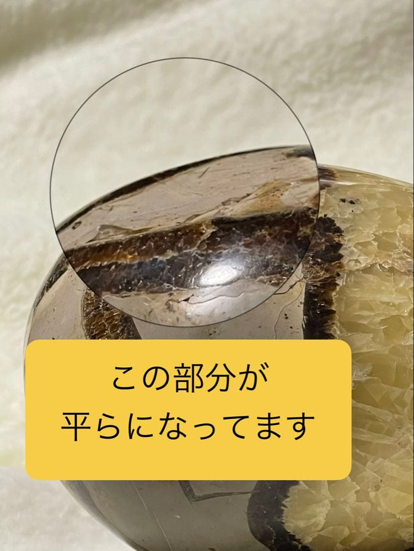 セプタリアン たまご形　存在感抜群の1kg台座付き