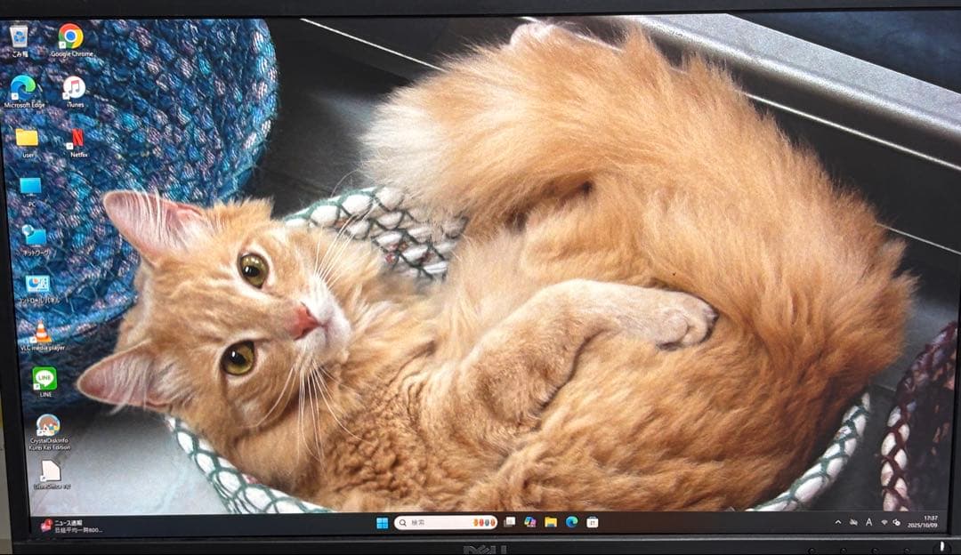 ⭐️M1011⭐️ Endeavor i5-9600K GTX1050