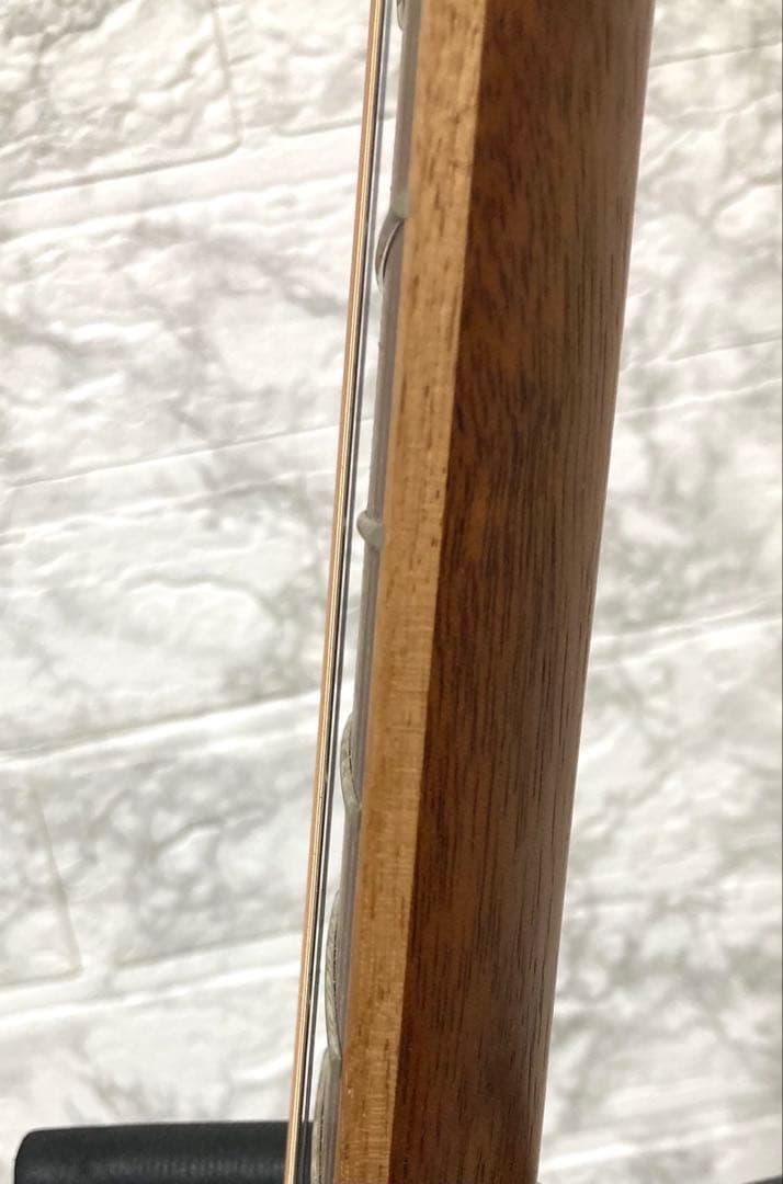 【極美品】Baton Rouge AR11C/ACE-12 エレアコ 12弦