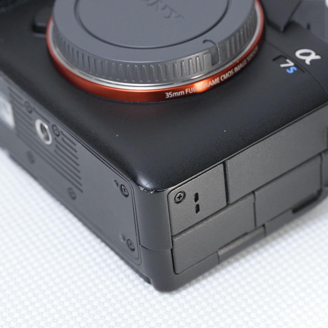 SONY α7S III ボディ ケージ付 ILCE-7SM3