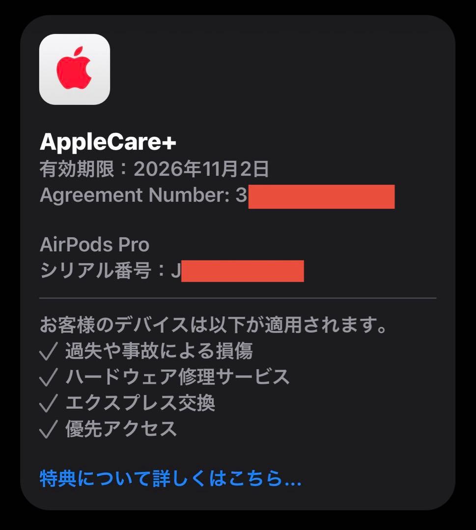 Apple AirPodsPro2 USBC版