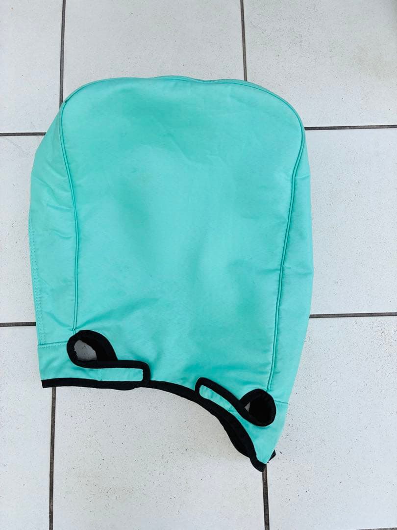 Ron　テーラーメイド スタンド式　ミントグリーン