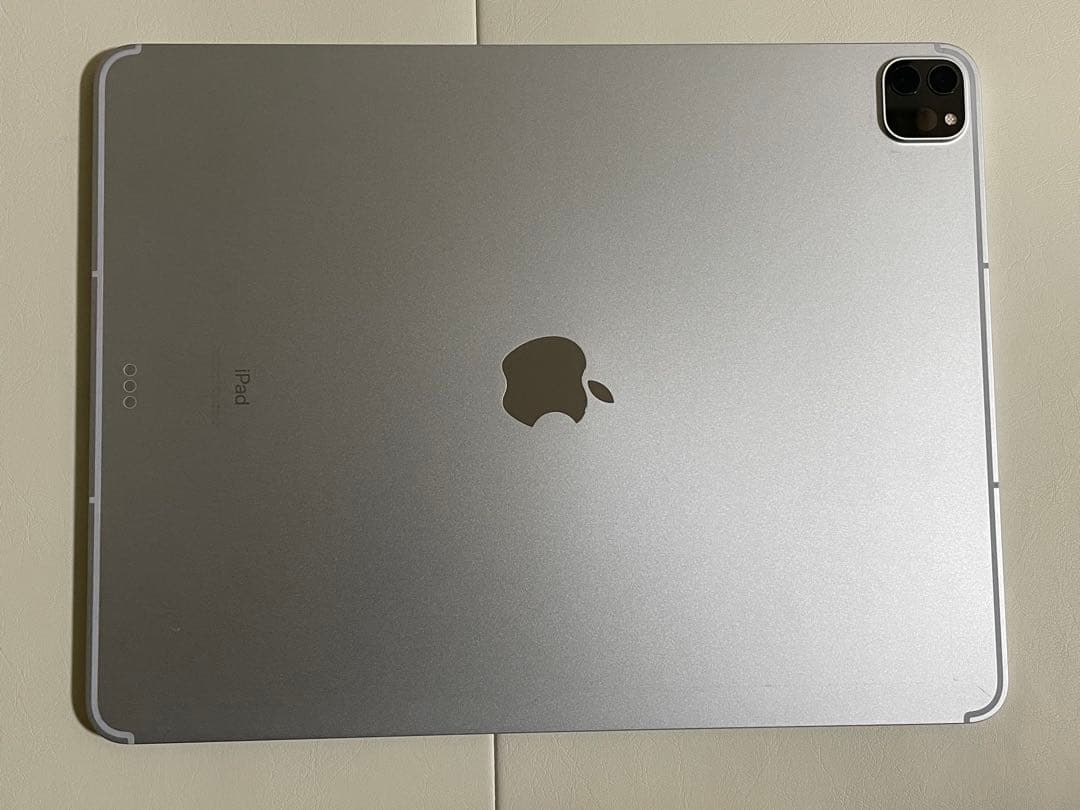 Apple iPad Pro 12.9インチ256GB 第5世代/PITAKA