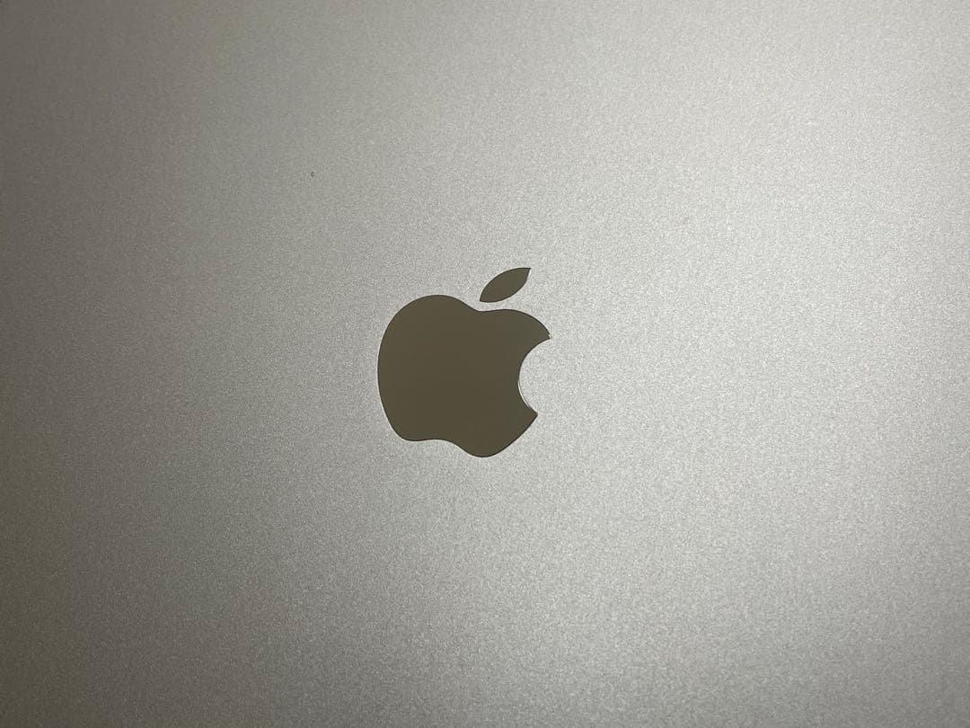 Apple iPad Pro 12.9インチ256GB 第5世代/PITAKA