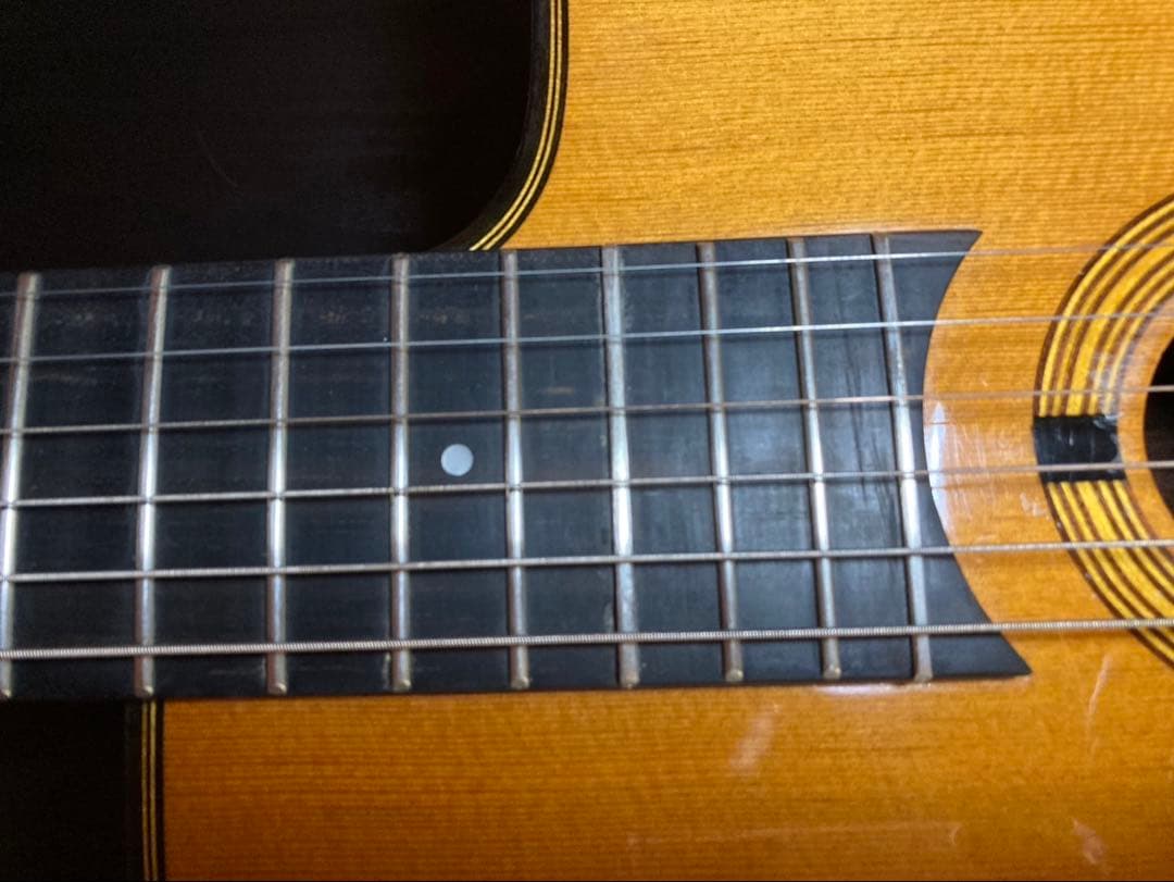 【希少】Gitane DG-255 マカフェリタイプ ジプシージャズギター