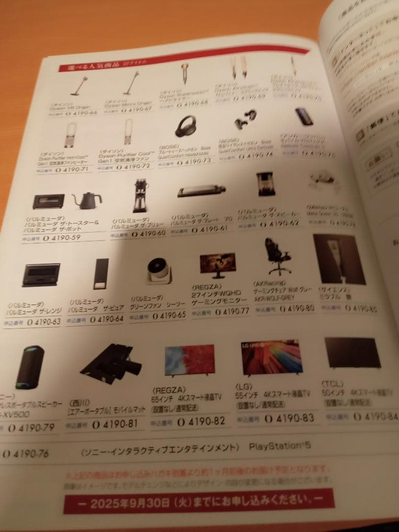 第11回全関東夏のファン感謝デー オリジナルカタログ　【送料込み】