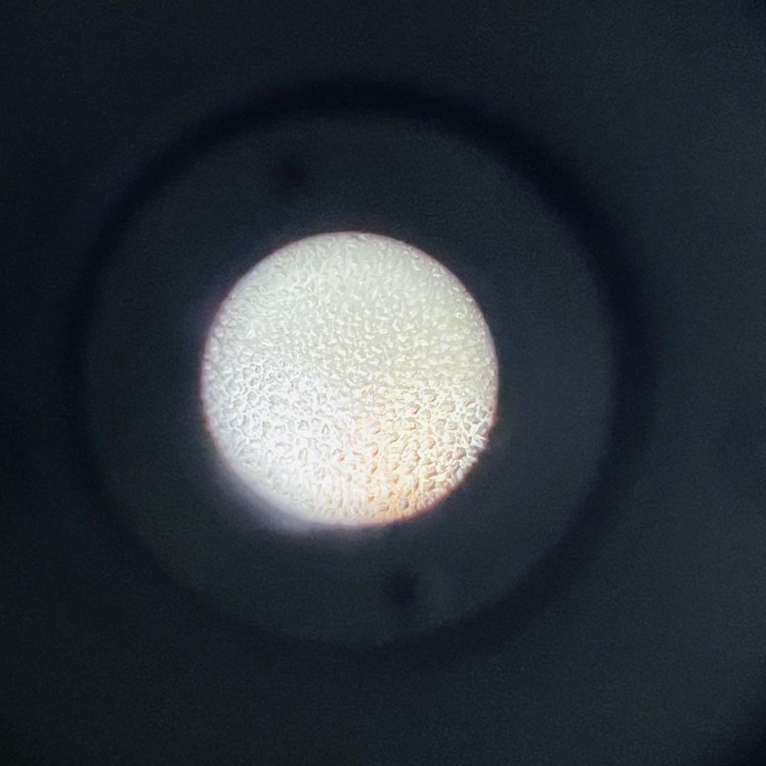 オリンパス・ペン FT + 38mm + 20mm