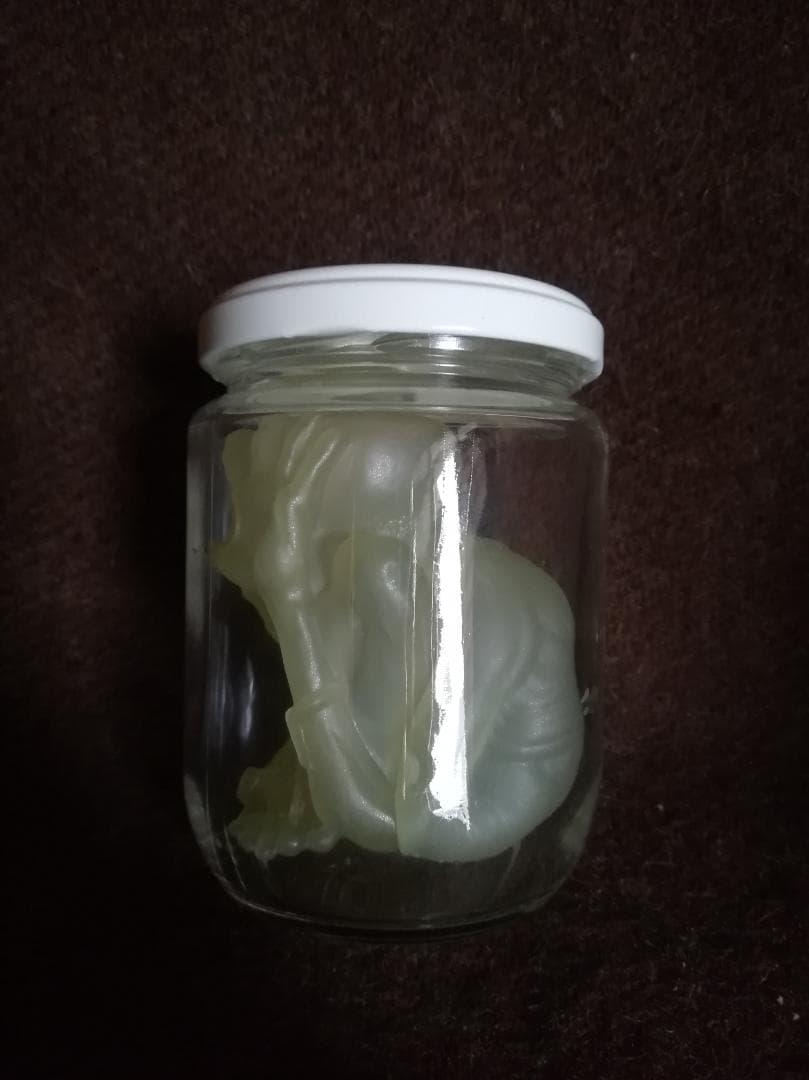 FEWTURE MODELS JAR OF PUS（スケルトン） PUSHEAD