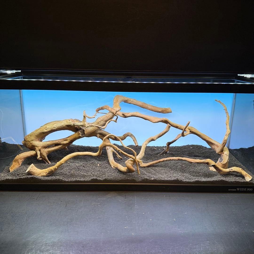 MDW-7104 ブランチウッド4本セット　流木セット　枝流木　アクアリウム
