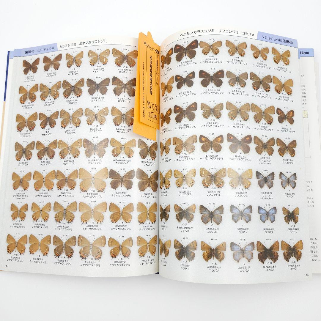 【初版】日本産蝶類標準図鑑 絶版希少 学研