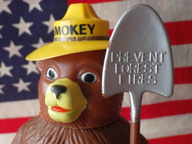 【1970年代】DAKIN スモーキーベア ヴィンテージ 可動式 フィギュア置物