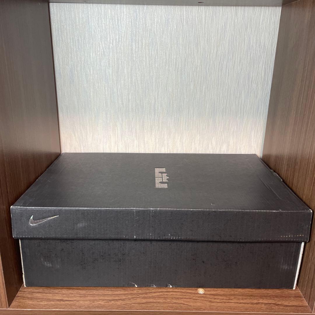 ☆希少カラー☆LEBRON WITNESS V