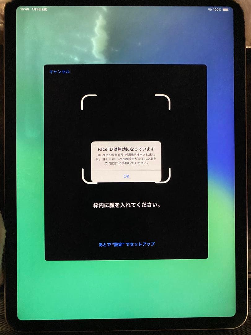 鯨さん専用