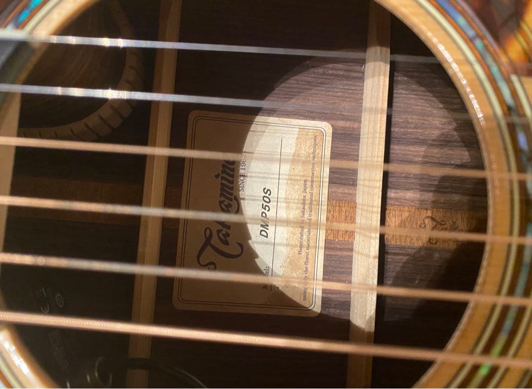 タカミネ DMP50S 2ピックアップ エレアコ ナチュラル