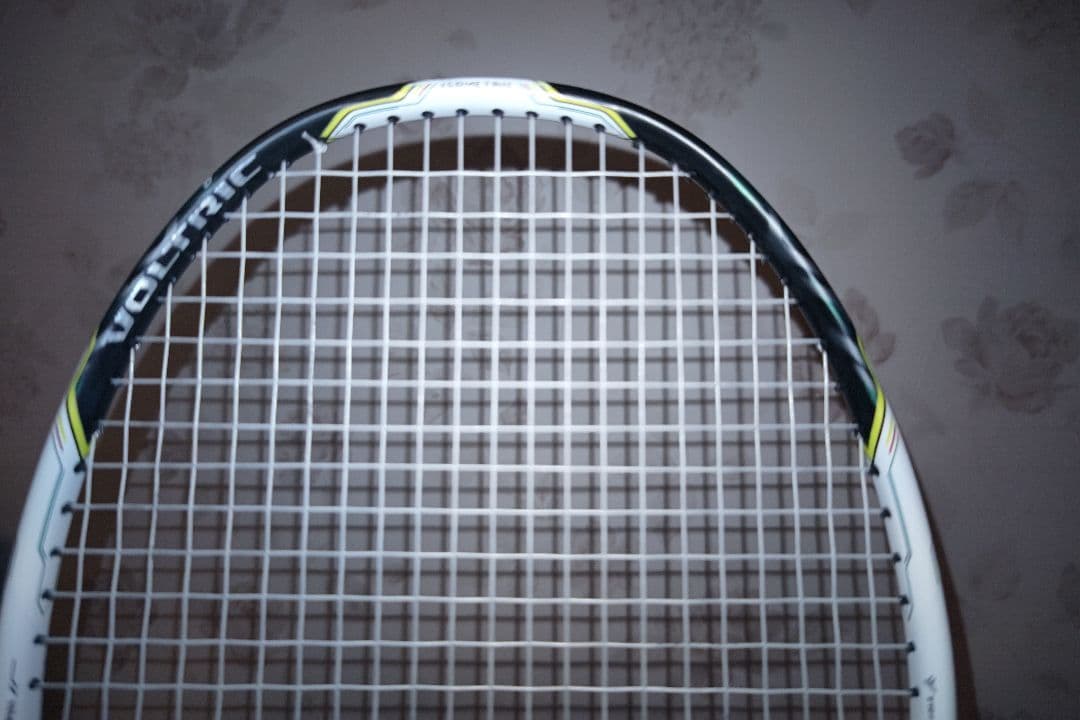 ひ*ま様 Voltric zフォース