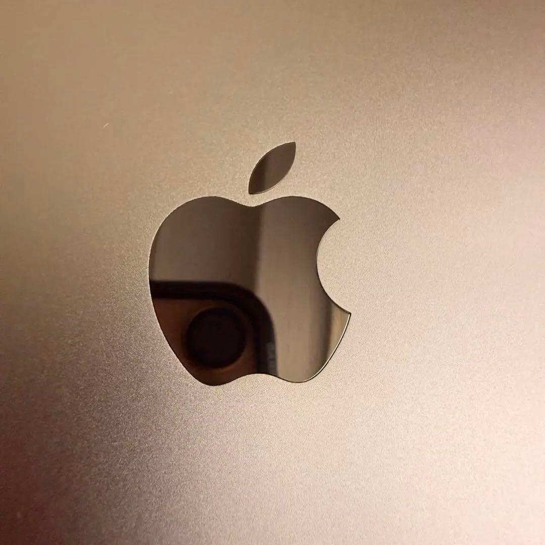 【美品】iPad mini （第5世代） 256GB WiFi 92% ゴールド