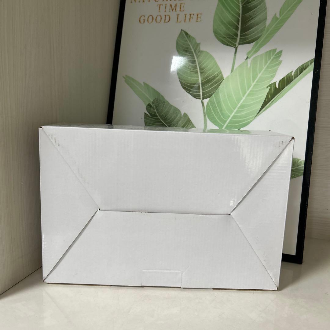 【新品未使用】 Airness Ⅱ エアネス2 ANS-2201 オゾン発生器