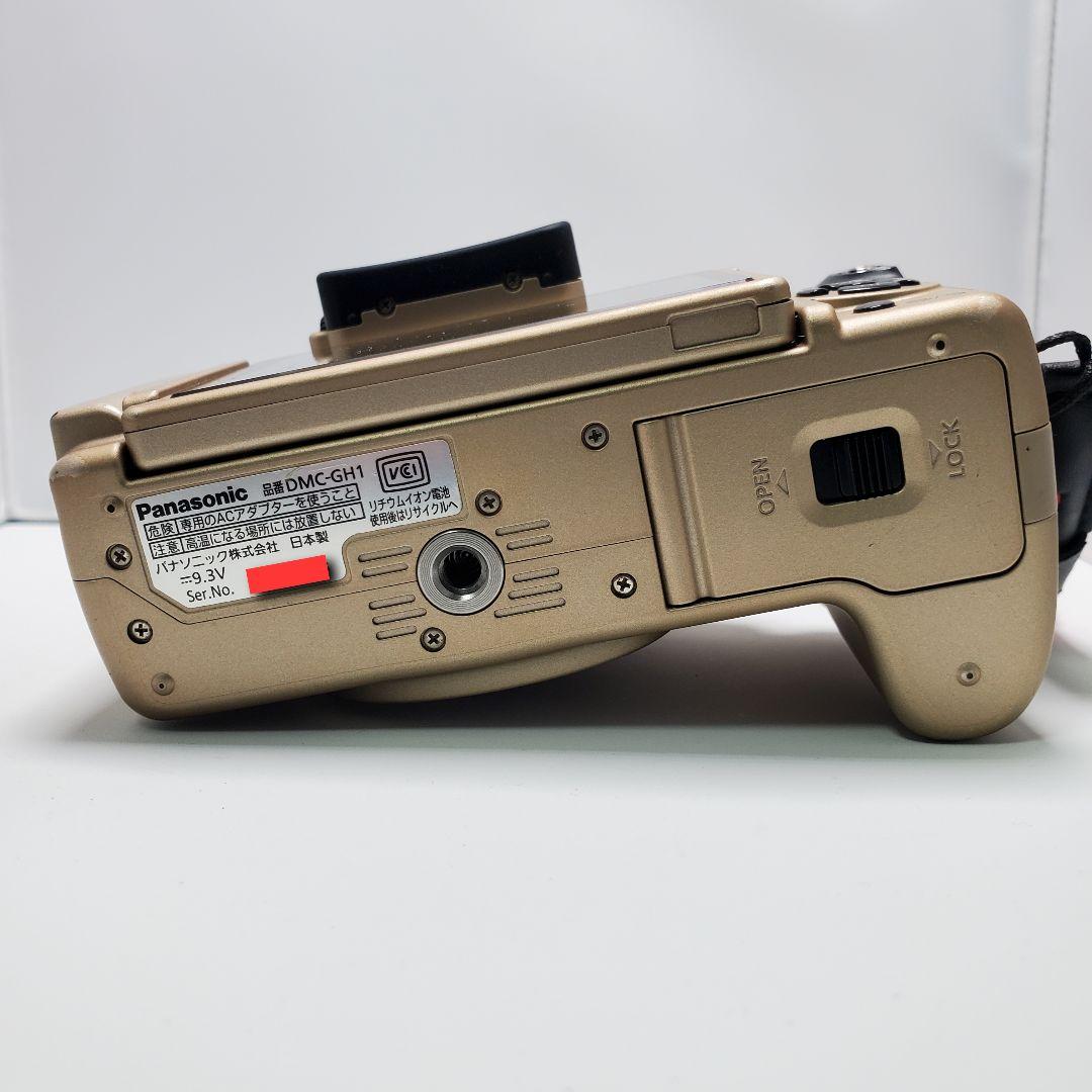 パナソニック　LUMIX　GH1　カメラ まとめ売り