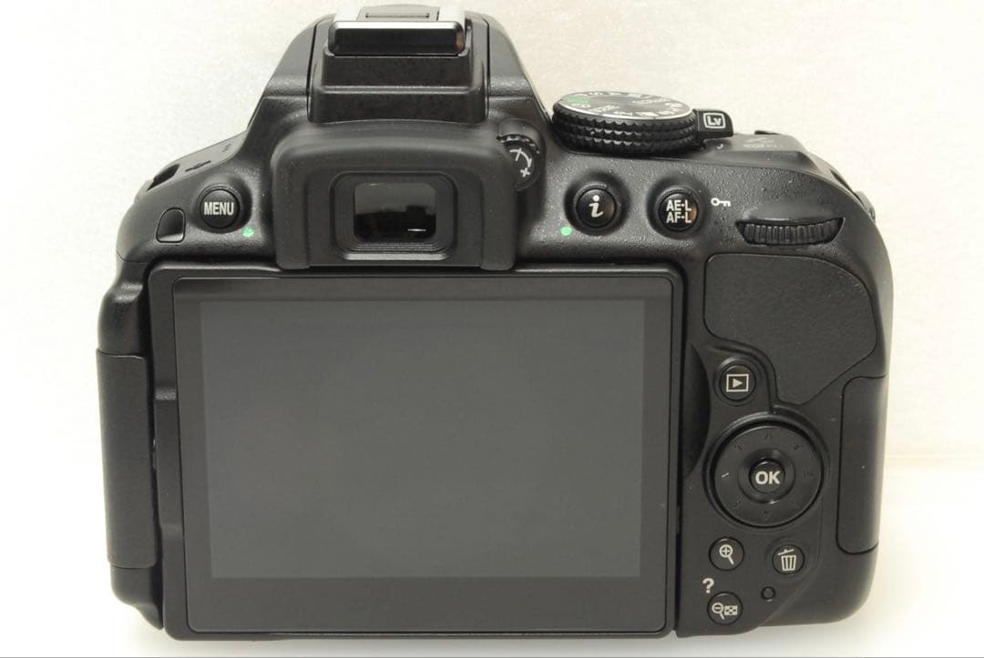 たねわんこ様フォロー割_Nikon D5300 ❤️ダブルレンズ 一眼レフ