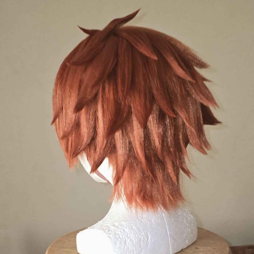 2/8までお値下げ中 ツイステッドワンダーランド エース・トラッポラ ウィッグ