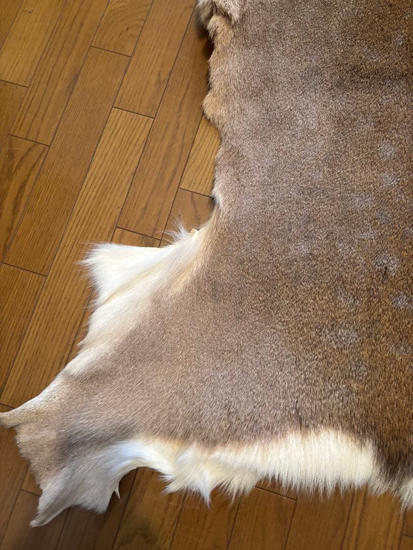 だ*ぶ様 蝦夷鹿毛皮ラグ　天然　バンビ