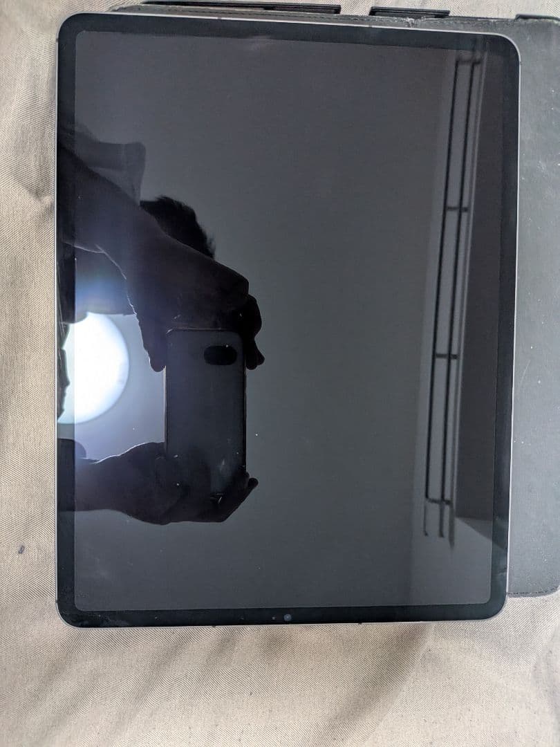 iPadPro 12.9 第5世代 512GB Cellular (A2461)