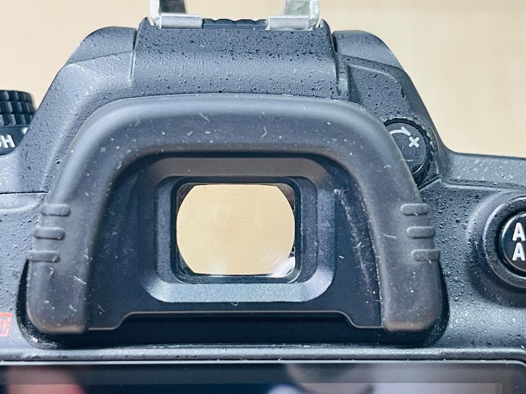 Nikon D7000 ニコン ボディ