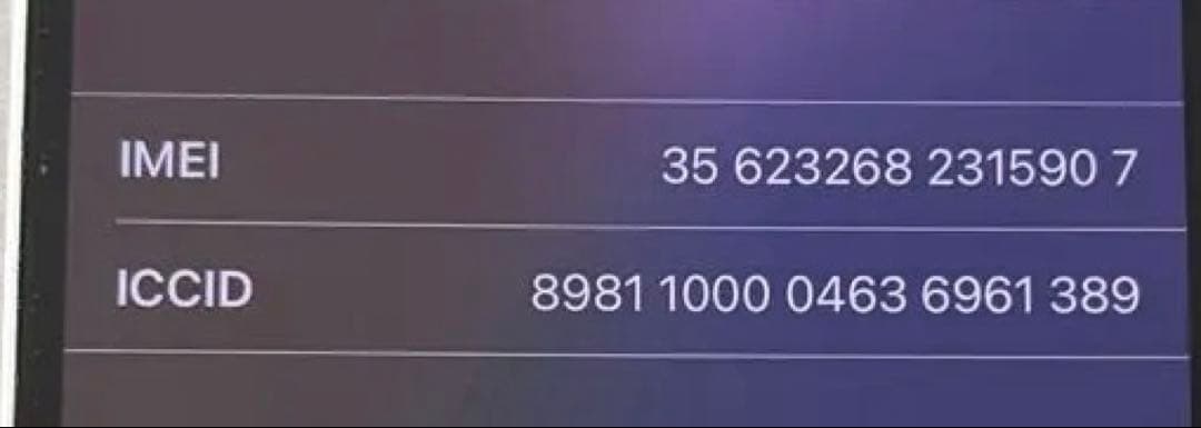 スマートフォン本体 Apple iPhone 13mini