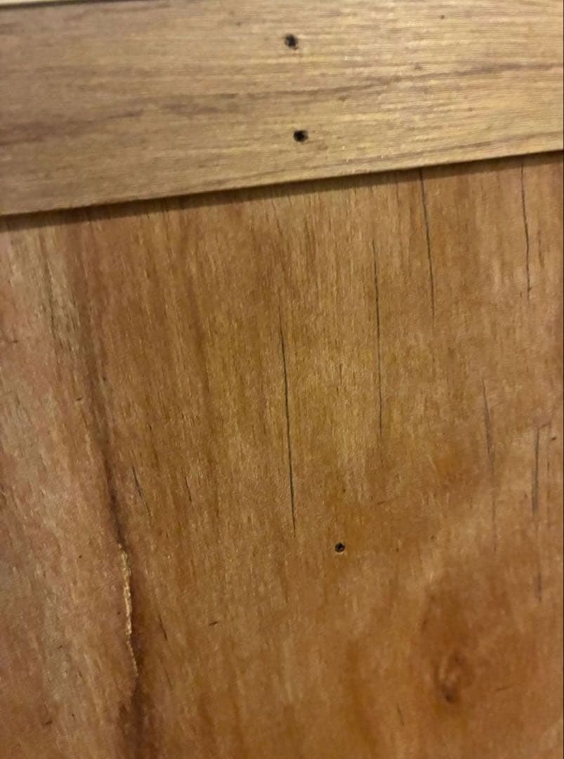 定価12万 graf × scope / messy メッシー　メープル