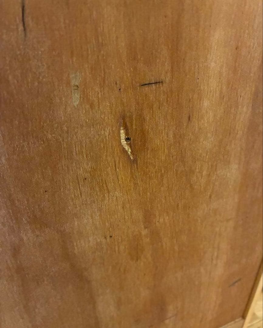 定価12万 graf × scope / messy メッシー　メープル