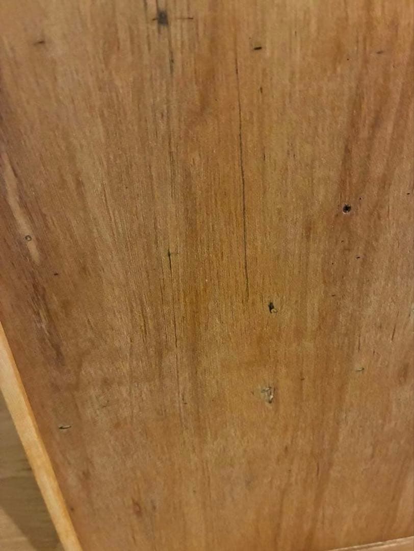 定価12万 graf × scope / messy メッシー　メープル