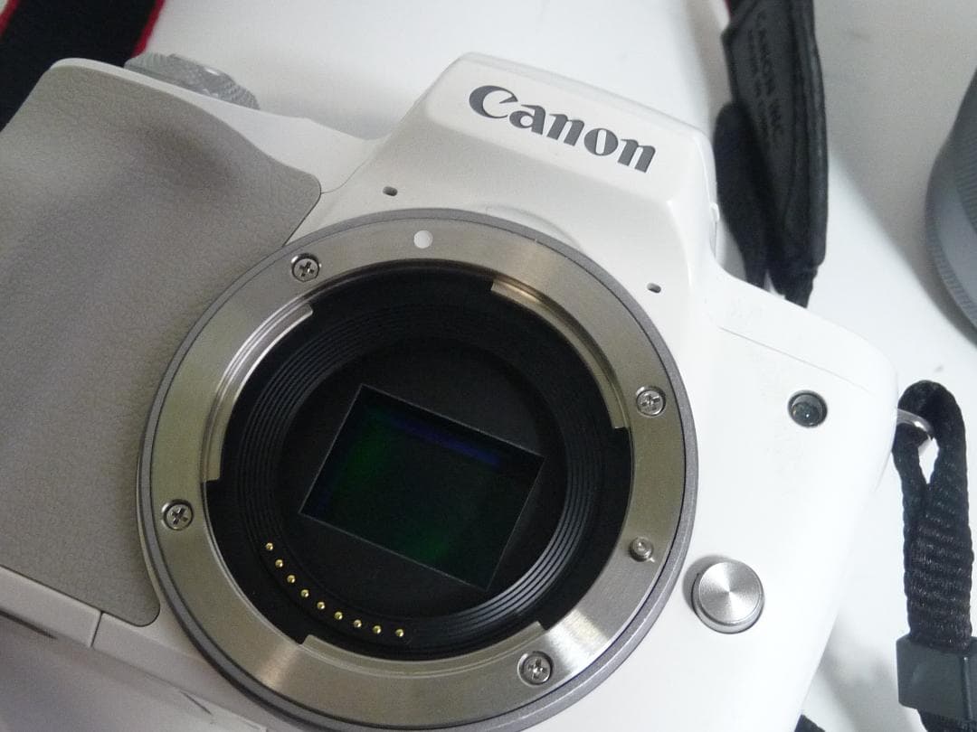 Canon EOS Kiss M2 ダブルズーム ミラーレス一眼