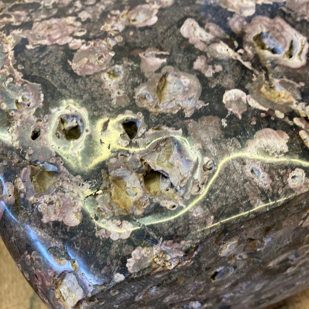 ボタン石 梅花石 鑑賞石 天然石 自然石 原石 置物 インテリア 雑貨