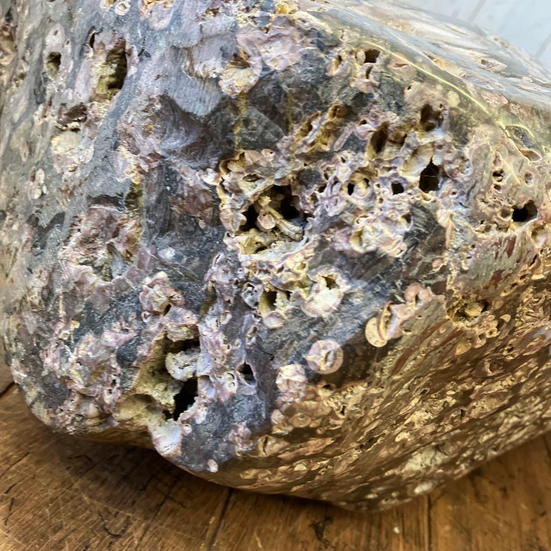 ボタン石 梅花石 鑑賞石 天然石 自然石 原石 置物 インテリア 雑貨