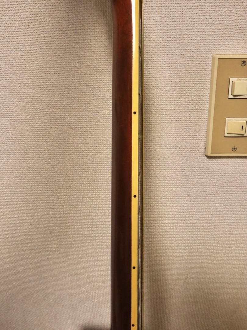 Elite Takamine TW-25 アコースティックギター