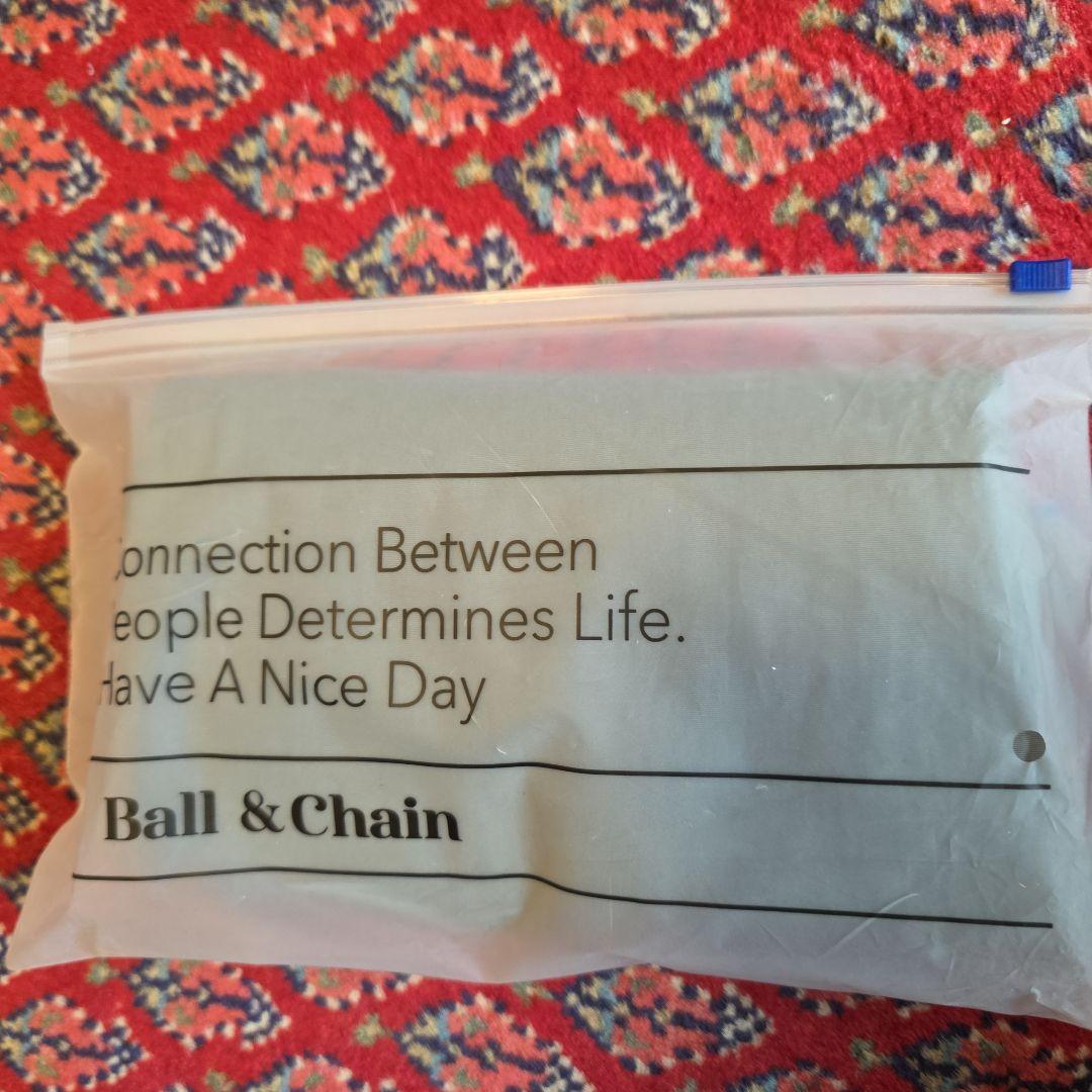 ボールアンドチェーン フェイラー　バッグ