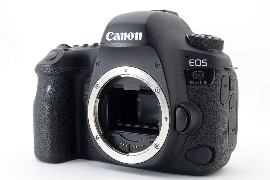 一眼レフカメラCanon EOS 6D Mark II /単焦点レンズセット