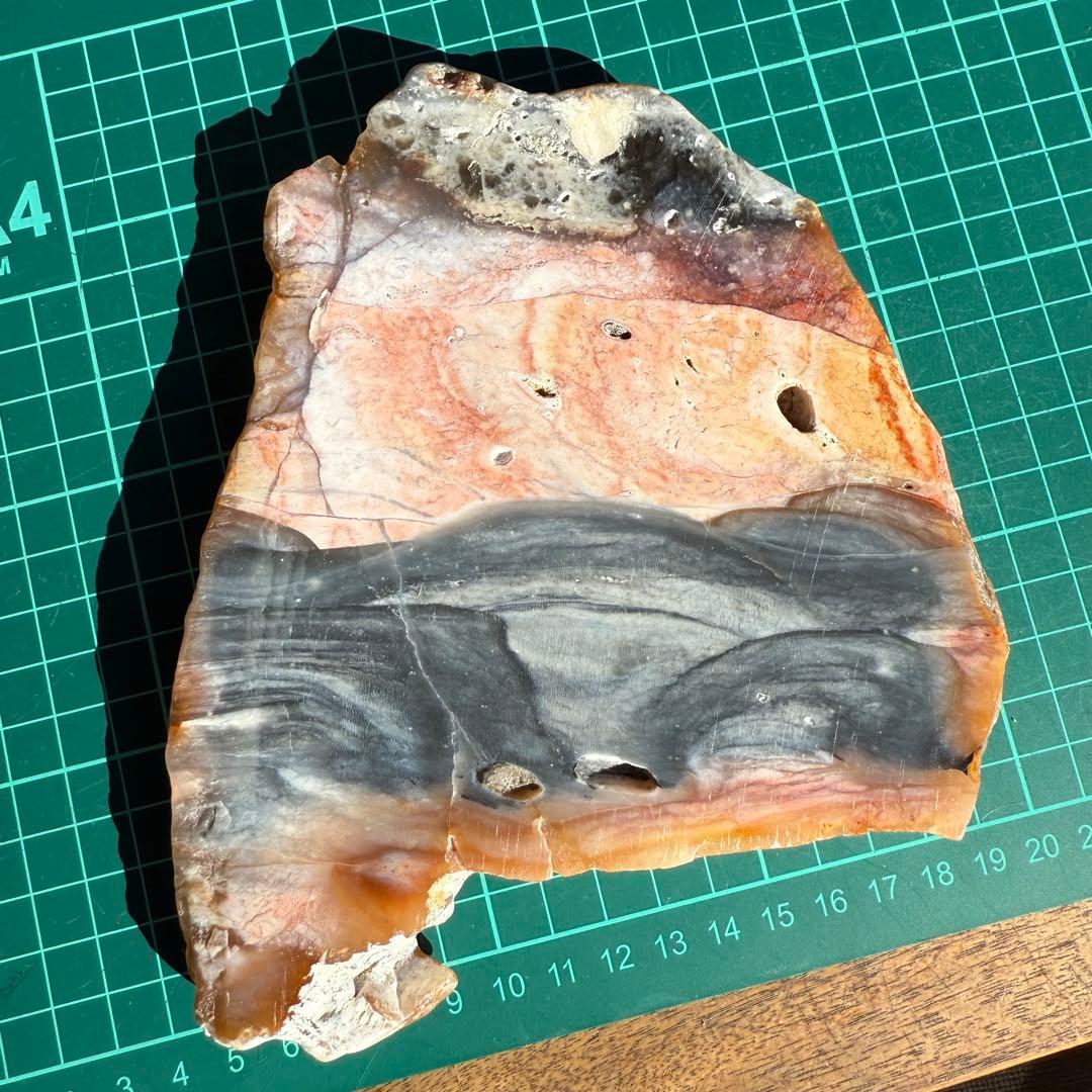 高品質　ペトリファイドウッド　520g プレート　底面磨き　台座付き　珪化木②