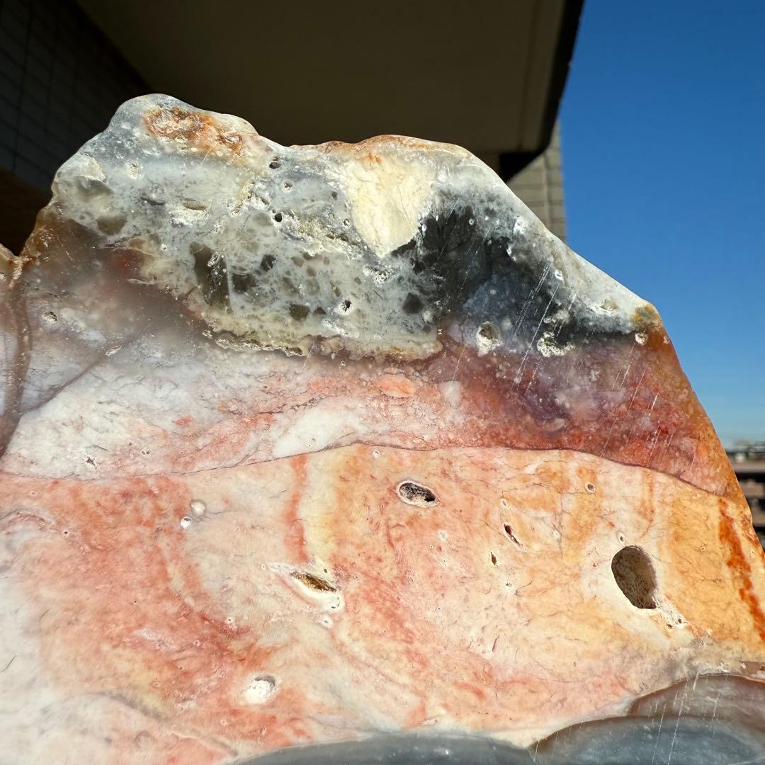 高品質　ペトリファイドウッド　520g プレート　底面磨き　台座付き　珪化木②