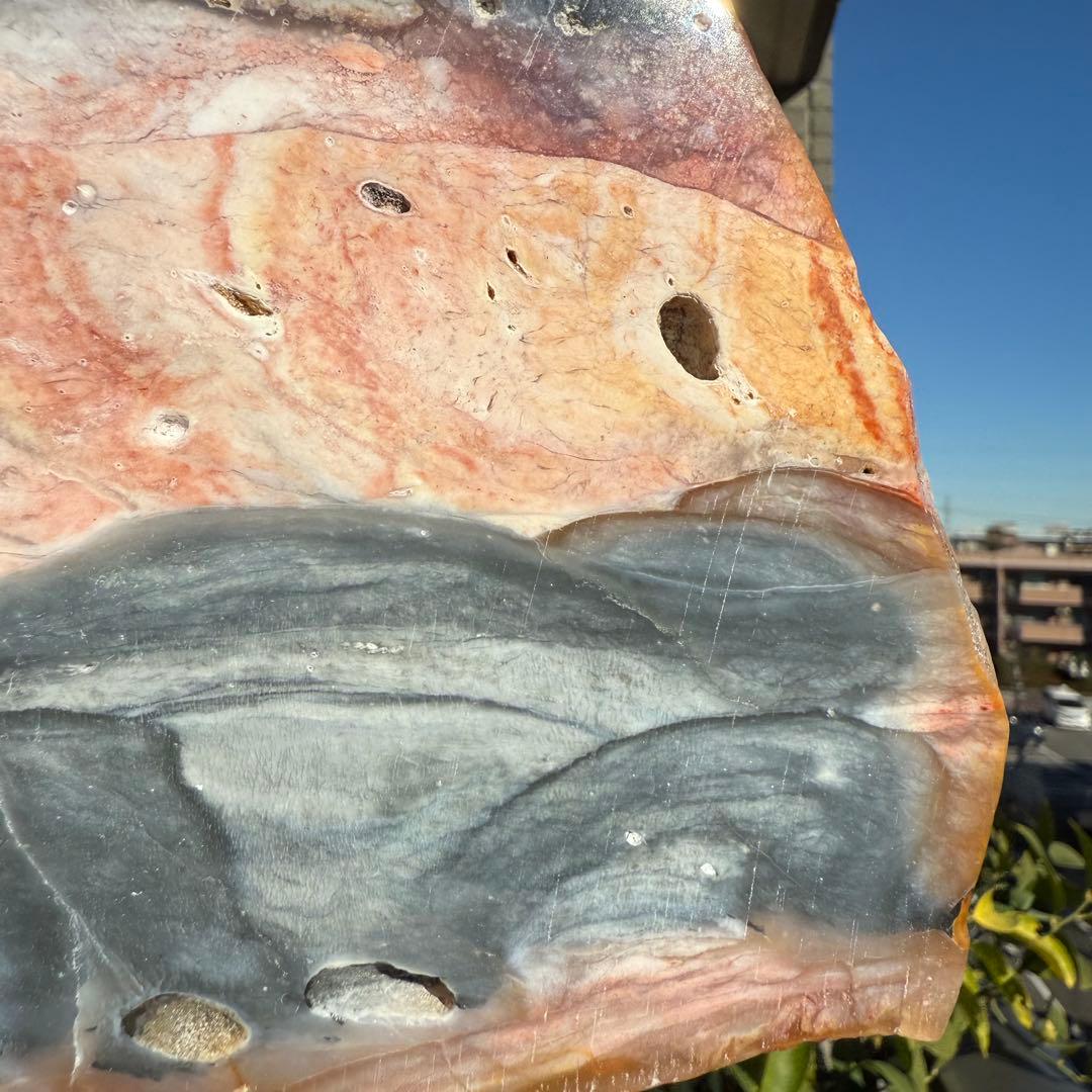 高品質　ペトリファイドウッド　520g プレート　底面磨き　台座付き　珪化木②