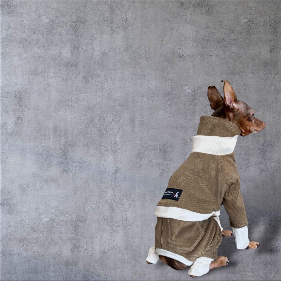 ⑪コーデュロイ イン パリ