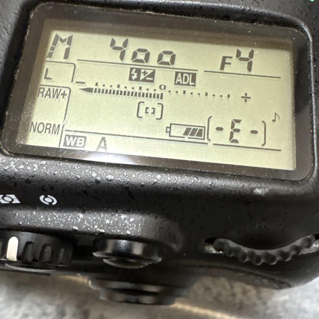 【レンズ付き】Nikon D800 デジタル一眼レフカメラ 付属品付き