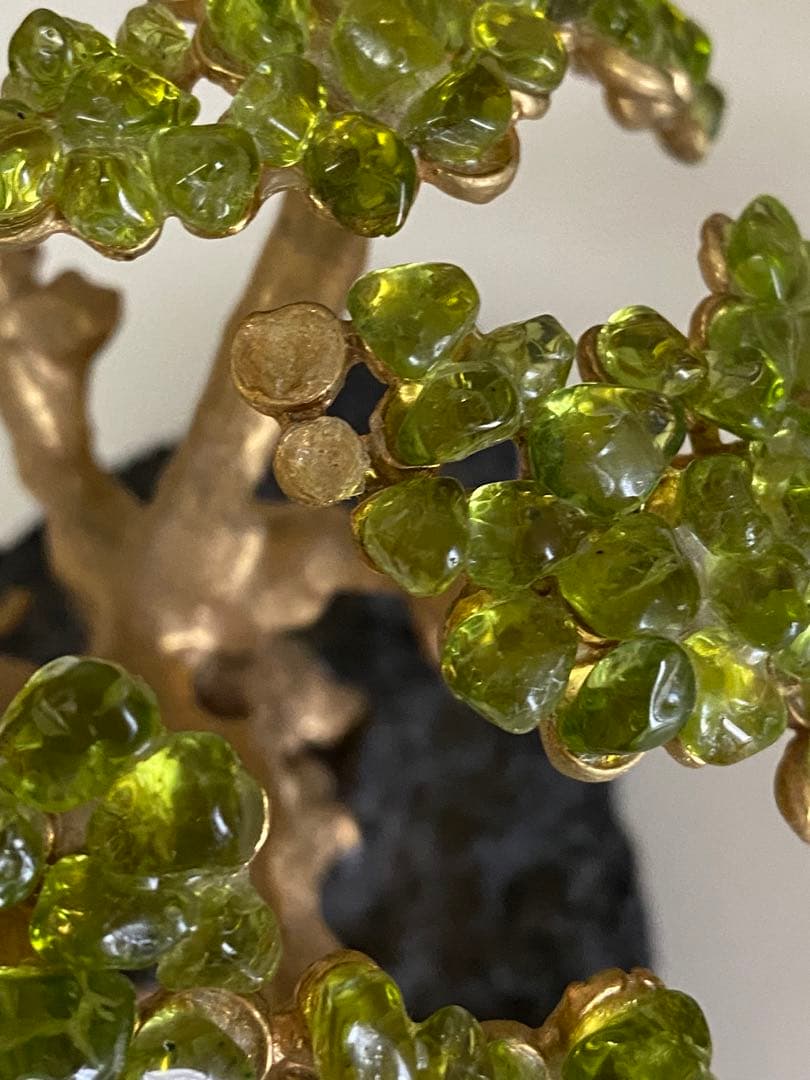 ハワイの宝石ペリドット　ハワイ島の神秘の宝石の木　ペリドットの木　モンキーポッド